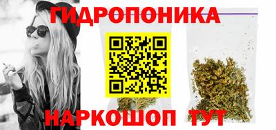 ALPHA PVP Пугачёв