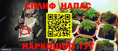ALPHA PVP Пугачёв